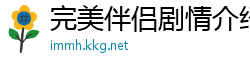 完美伴侣剧情介绍